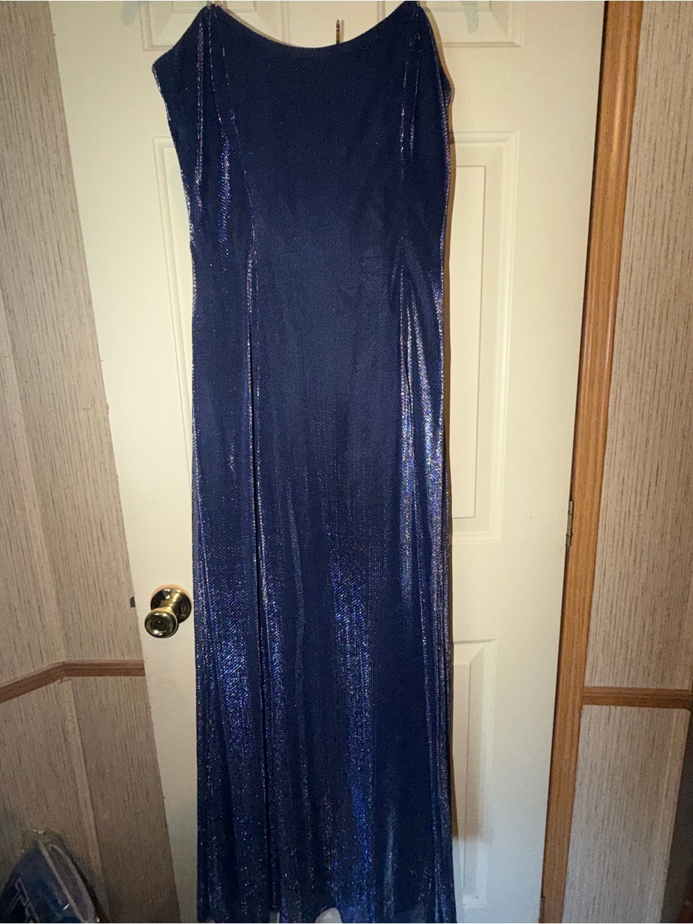 Scott McClintock Iridescent Navy Blue Maxi Dress